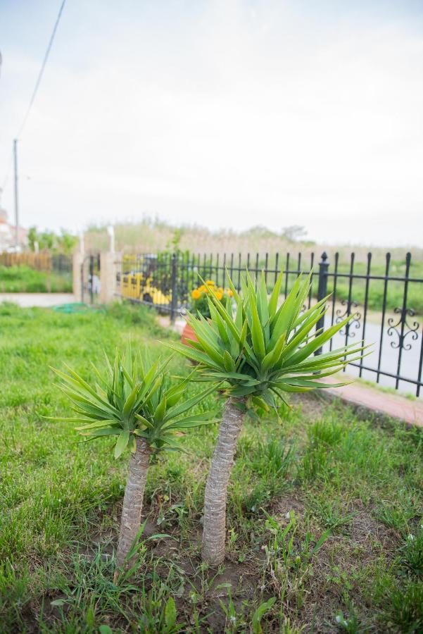 Néa Péramos Garden Suite מראה חיצוני תמונה